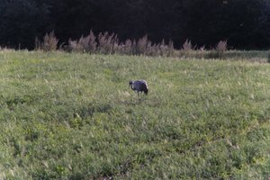 DSCF5243.JPG