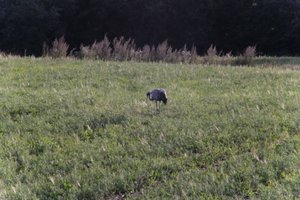 DSCF5244.JPG