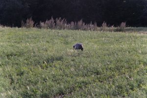 DSCF5245.JPG