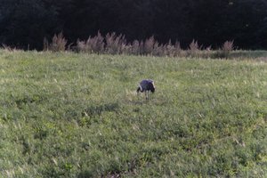 DSCF5247.JPG