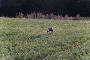 DSCF5248.JPG