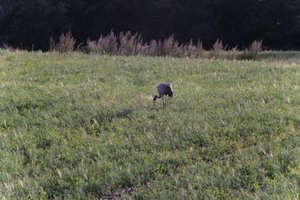 DSCF5249.JPG