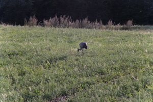 DSCF5250.JPG