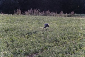 DSCF5251.JPG