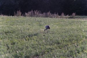 DSCF5252.JPG