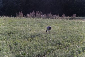 DSCF5254.JPG