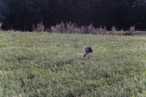 DSCF5255.JPG