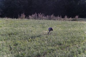 DSCF5256.JPG