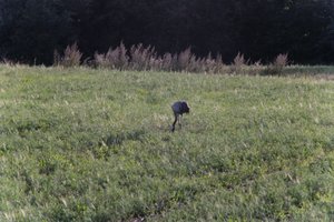 DSCF5257.JPG