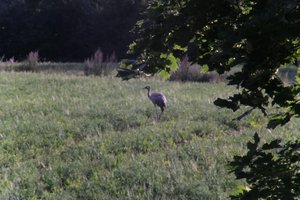 DSCF5258.JPG