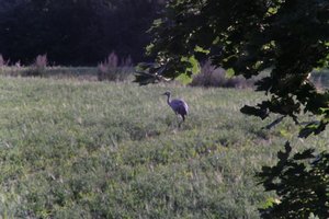 DSCF5259.JPG