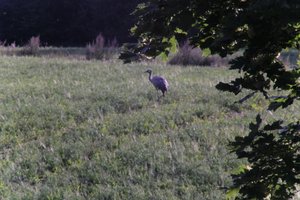 DSCF5260.JPG