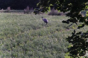 DSCF5261.JPG