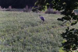 DSCF5262.JPG