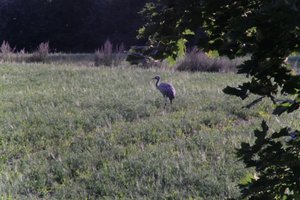 DSCF5263.JPG