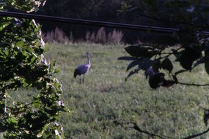 DSCF5264.JPG