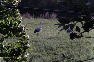 DSCF5266.JPG