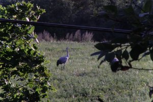 DSCF5272.JPG