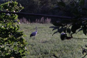 DSCF5273.JPG