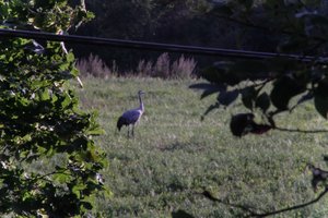 DSCF5275.JPG
