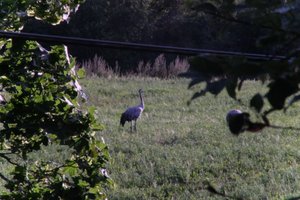 DSCF5280.JPG