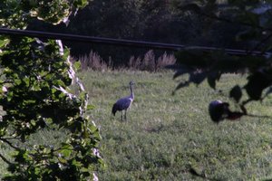 DSCF5281.JPG