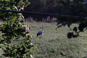 DSCF5284.JPG