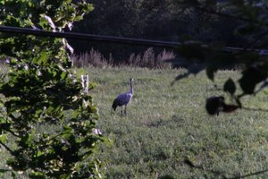 DSCF5285.JPG