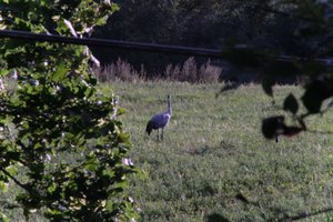 DSCF5286.JPG