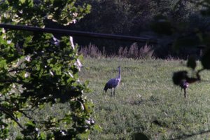 DSCF5287.JPG