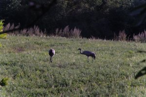 DSCF5289.JPG