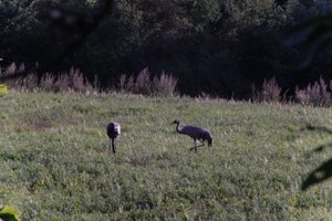 DSCF5292.JPG