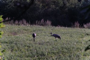 DSCF5294.JPG