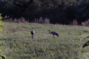 DSCF5295.JPG