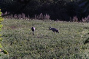 DSCF5297.JPG