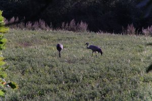 DSCF5298.JPG