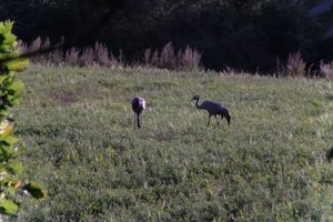 DSCF5299.JPG