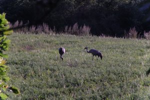 DSCF5300.JPG