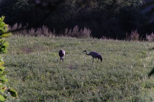 DSCF5301.JPG