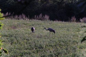 DSCF5302.JPG