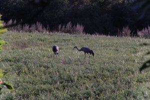 DSCF5303.JPG