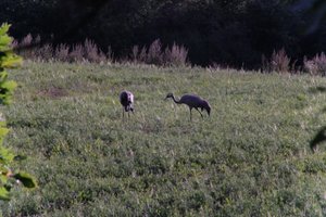 DSCF5304.JPG