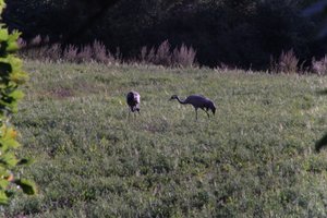 DSCF5306.JPG