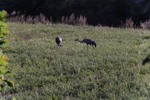 DSCF5307.JPG