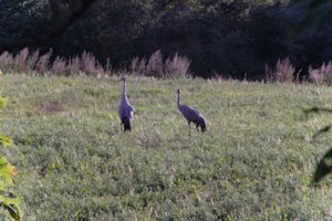 DSCF5309.JPG