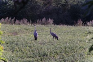 DSCF5311.JPG