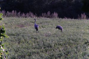 DSCF5313.JPG