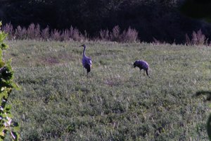 DSCF5314.JPG
