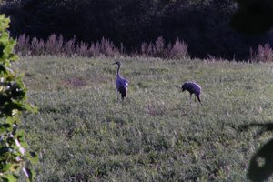 DSCF5319.JPG