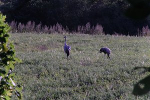 DSCF5320.JPG